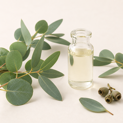 Eucalyptus Essential Oil