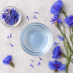 Cornflower Water